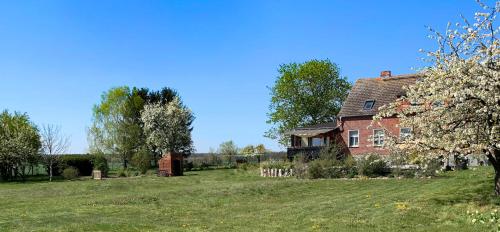 Zahrada ubytování Vierseitenhof Hasenfelde - Ferienwohnung Feldblick