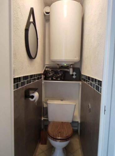 a small bathroom with a toilet and a mirror at LES CAPITELLES - Accès direct à la plage depuis le jardin - T2 in Saint-Cyprien