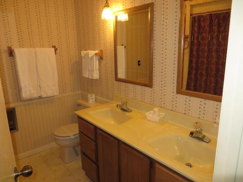 a bathroom with a sink and a toilet and a mirror at Travelers Inn Motel in Eagle River