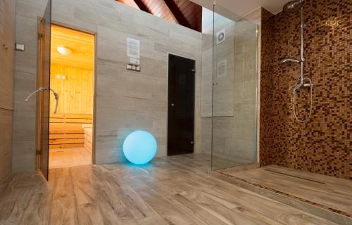 a bathroom with a glass shower and a blue ball on the floor at Ponty-Papa Rendezvényház in Dávod