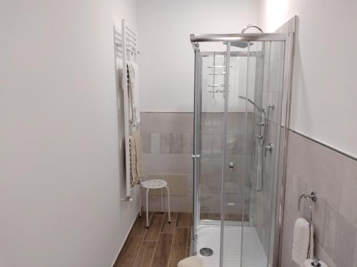 カステルブオーノにあるB&B Villa Letiziaのバスルーム(ガラスドア付きのシャワー付)