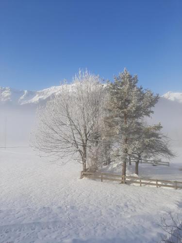 Paisaje cerca de este apartamento