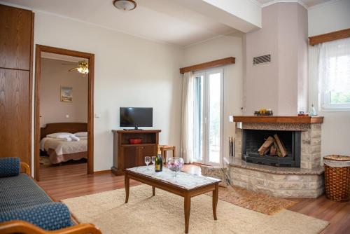 sala de estar con sofá y chimenea en Ξένη resort, en Karpenisi