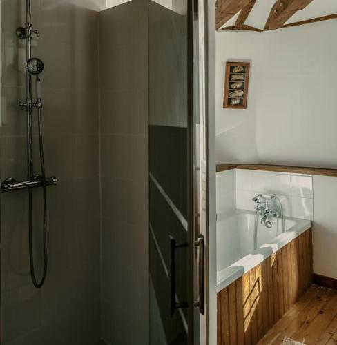 une salle de bain avec une douche, un lavabo et une baignoire dans l'établissement Chateau de la Vigne, à Concourson-sur-Layon