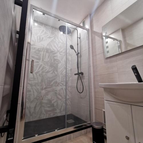 une douche avec une porte vitrée à côté d'un lavabo dans l'établissement Chambre Jungle - Tout confort Saint Marceau, à Orléans