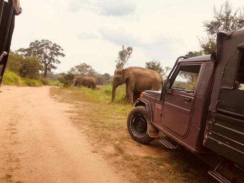 a truck parked on a dirt road with elephants in the background at Grand freedom in Sigiriya