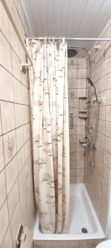 a bathroom with a shower with a shower curtain at Beaux petits appartements in La Calamine
