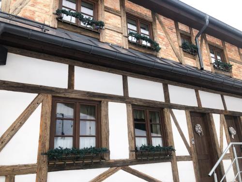a building with windows and potted plants at Kazmarka in Malá Morávka
