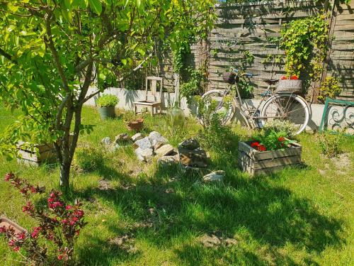 a garden with a tree and a bike in the grass at les forges du lou in Jugon Les Lacs