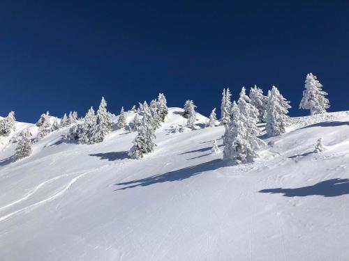 a snow covered mountain with trees on top of it at Villa Smilla in Gaschurn