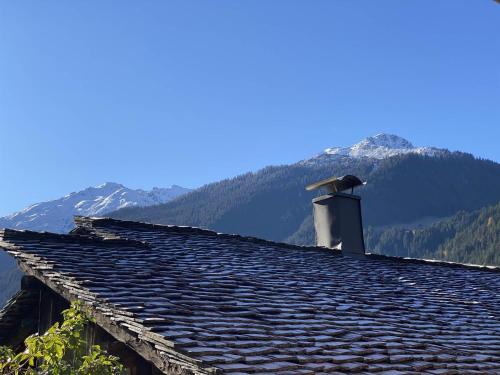 a roof of a house with mountains in the background at Villa Smilla in Gaschurn