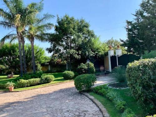 Zahrada ubytování Casa Magnolia