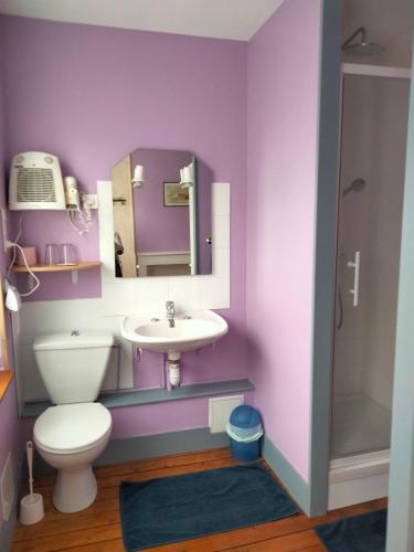 różowa łazienka z toaletą i umywalką w obiekcie Le gibergeon w mieście Signy-lʼAbbaye