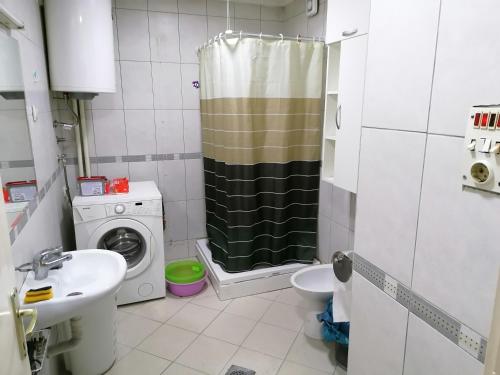 La salle de bains est pourvue d'un lavabo et d'un lave-linge. dans l'établissement Apartment B, à Skopje