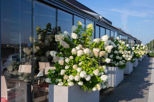 a row of white flowers on the side of a building at Hotel nad Wisłą in Tczew