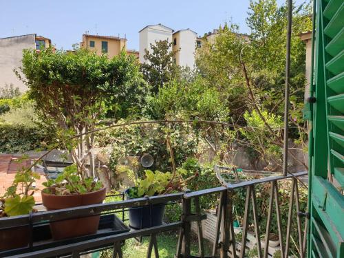 a balcony with plants in pots on it at B&B Air Green Serragli in Florence