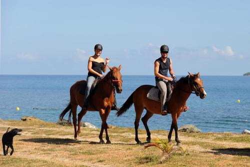 two people riding horses on the beach with a dog at Hotel Koulnoue Village in Hienghène