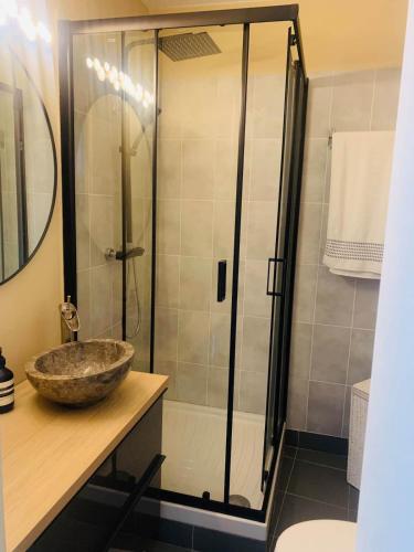 une salle de bain avec un lavabo et une douche dans l'établissement Lovely Appartment Cannes Marina, à Mandelieu-la-Napoule