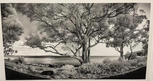 Fotografie z fotogalerie ubytování Beachside Taroona with Spa v destinaci Sandy Bay