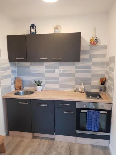 eine Küche mit einer Spüle und einer Arbeitsplatte in der Unterkunft Apartman Alka in Zaboric