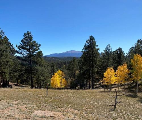 a field with yellow trees in the distance at 24 Quiver Circle Spectacular Mountain View 5 Acres PIKES PEAK in Florissant