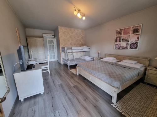 a bedroom with two beds and a television in it at BB Boutique Hotel in Újlengyel