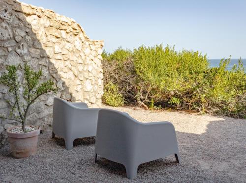 two chairs and a plant next to a stone wall at Seeplaas Guesthouse in Groot Brak Rivier