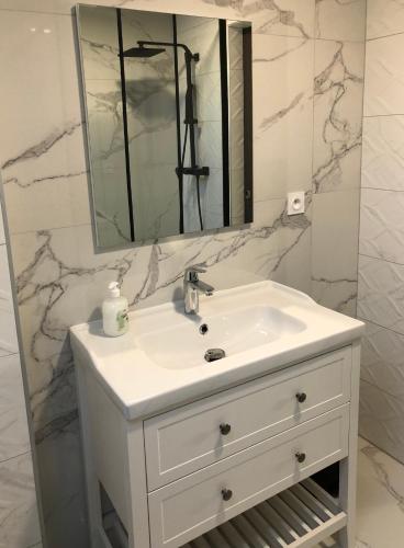 a bathroom with a white sink and a mirror at Sainte Cécile 6 / Studio Elégant et Central in Vichy