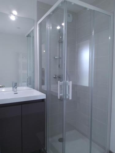 une salle de bain avec une douche en verre et un lavabo dans l'établissement Meublé avec cour, à Sotteville-lès-Rouen