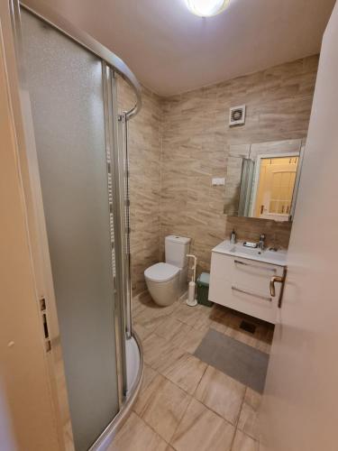 e bagno con doccia, servizi igienici e lavandino. di Apartma Vrtnica, Vila Golf a Rogaška Slatina