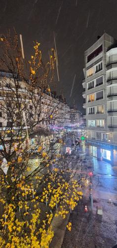 Photo de la galerie de l'établissement Superbe appartement au hypercentre de Chambéry, à Chambéry