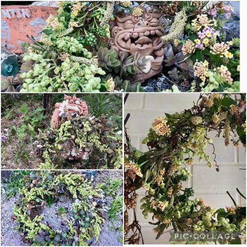 a collage of four pictures of flowers and plants at Travelers House おーさんてぃん青空舎 in Taketomi