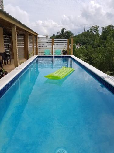 The BNB on Triggerfish Close to the airportの敷地内または近くにあるプール