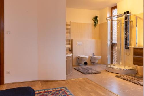 a bathroom with a shower and a toilet at Laid Back Villa in Budapest