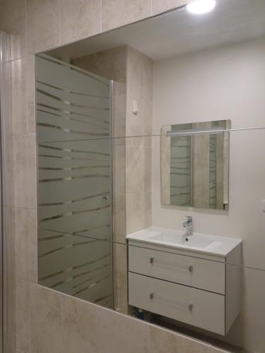 une salle de bain avec un lavabo et un miroir dans l'établissement CANNES Vue mer Parking Climatisation Chambre séparée, à Cannes