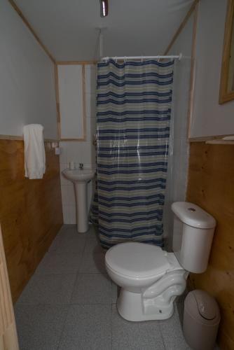 a bathroom with a toilet and a shower at Cabañas Ensenada Bosque Nativo in Ensenada