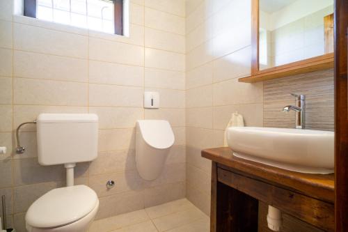 a bathroom with a toilet and a sink at Lator-Boross Vendégház in Villány
