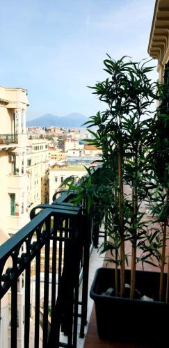 I Love Mergellina photo 32