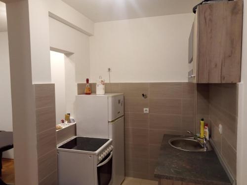 una pequeña cocina con nevera blanca y fregadero en Lux Apartment Rose 2 60m2, en Kragujevac