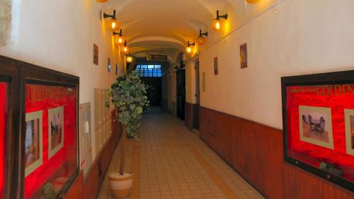 a hallway with a potted plant in a building at Golden Lion Guest Rooms Szewska 19 in Kraków