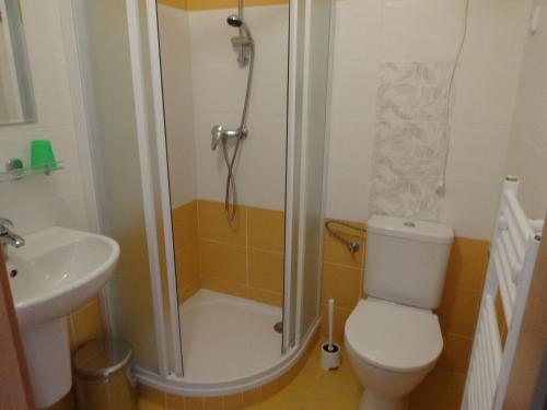 a bathroom with a shower and a toilet and a sink at Hostinec u Janatů s ubytováním in Čestín