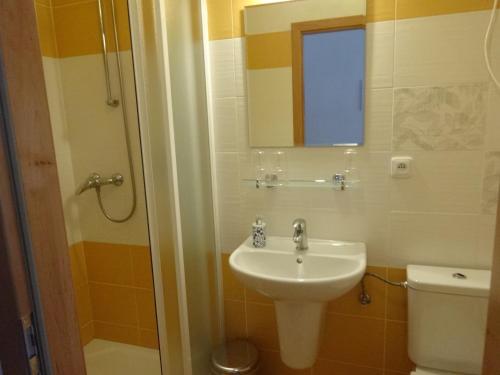 a bathroom with a sink and a toilet and a mirror at Hostinec u Janatů s ubytováním in Čestín