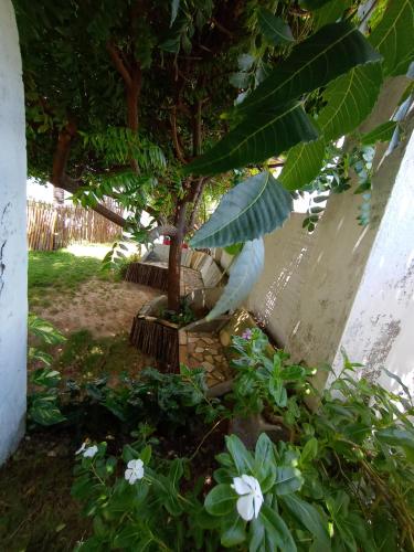 a bird sitting on a tree in a garden at Arco Mundial Taíba in Taíba