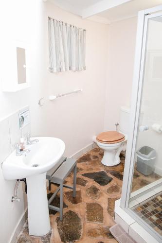 a bathroom with a sink and a toilet at Aan De Vliet Holiday Resort in Hazyview