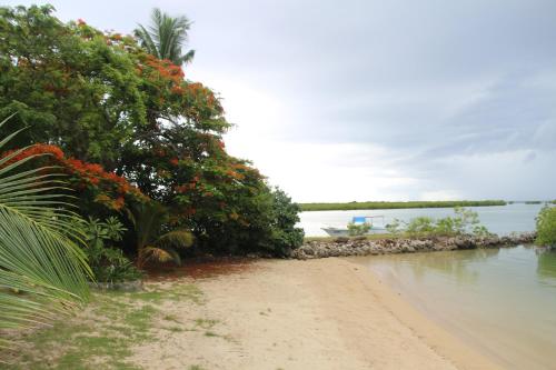 a beach with trees and flowers next to a body of water at Lander's Bay Resort in Lautoka