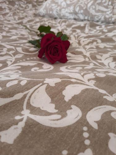 a red rose sitting on top of a bed at Apartmán na statku in Náměšť nad Oslavou