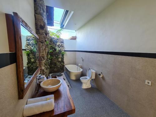 a bathroom with a sink and a toilet and a mirror at Uma Jala Villa Ubud in Ubud