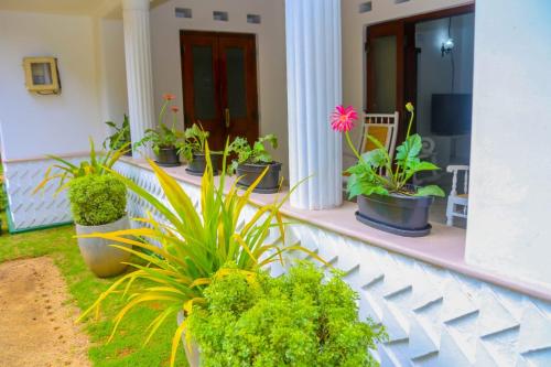 Ein Garten an der Unterkunft Niwahana Transit City Hotel