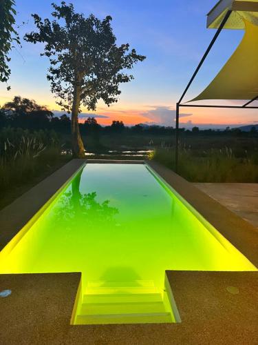 a swimming pool with a green floor and a tree at I love phants Lodge in Ban Huai Thawai