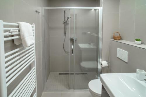 a bathroom with a shower and a toilet and a sink at Hotel Smrž in Sepekov